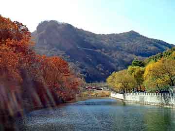 正版澳门天天开彩大全，天狮空气净化器